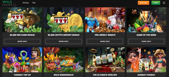Wild Casino Bonuses